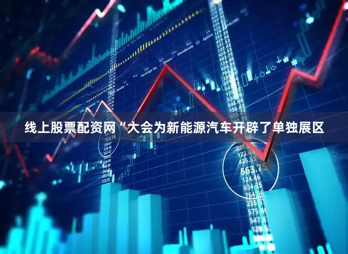 线上股票配资网“大会为新能源汽车开辟了单独展区