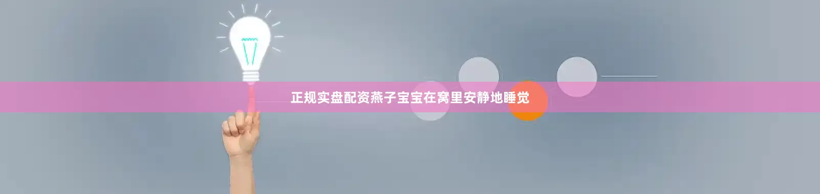 正规实盘配资燕子宝宝在窝里安静地睡觉