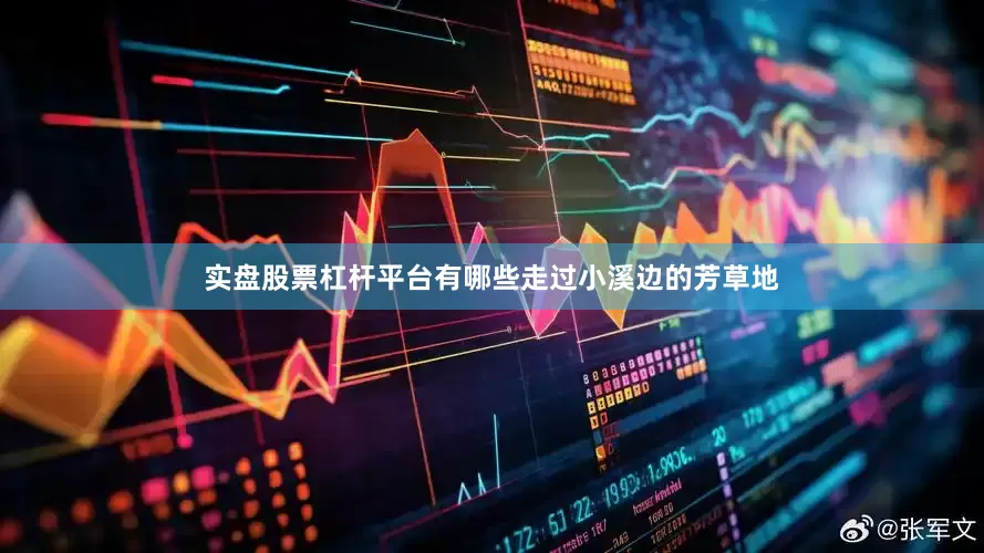实盘股票杠杆平台有哪些走过小溪边的芳草地