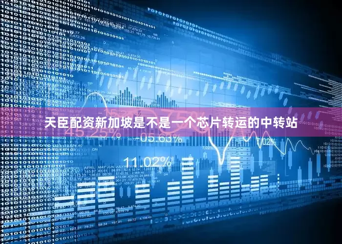 天臣配资新加坡是不是一个芯片转运的中转站
