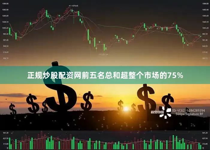正规炒股配资网前五名总和超整个市场的75%